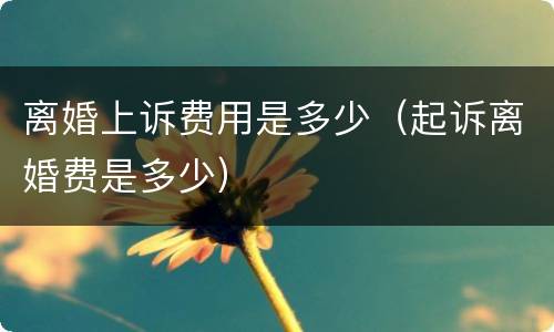 离婚上诉费用是多少（起诉离婚费是多少）
