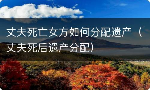 丈夫死亡女方如何分配遗产（丈夫死后遗产分配）
