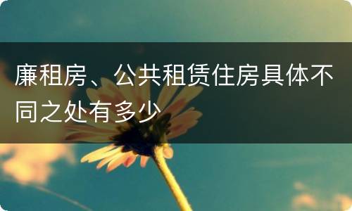 廉租房、公共租赁住房具体不同之处有多少
