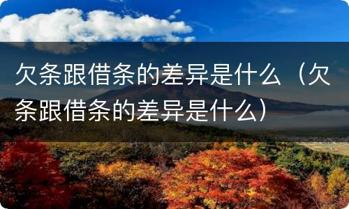 欠条跟借条的差异是什么（欠条跟借条的差异是什么）