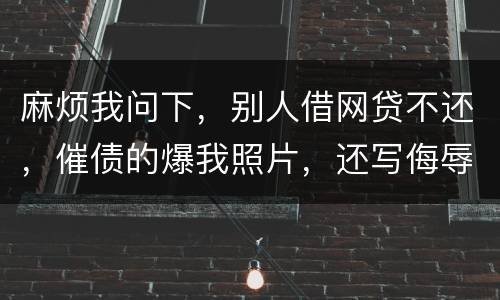 麻烦我问下，别人借网贷不还，催债的爆我照片，还写侮辱的话，犯法么，我要怎么做