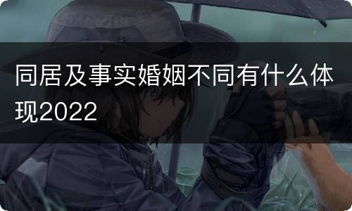 同居及事实婚姻不同有什么体现2022