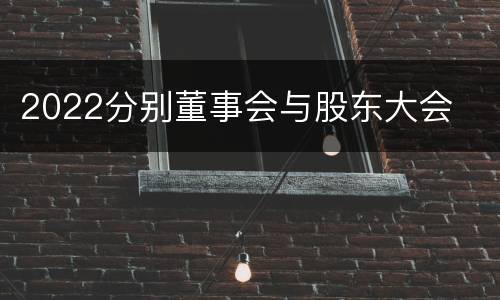2022分别董事会与股东大会