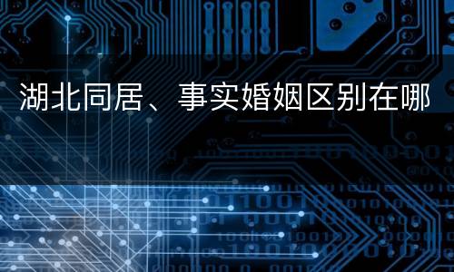 湖北同居、事实婚姻区别在哪