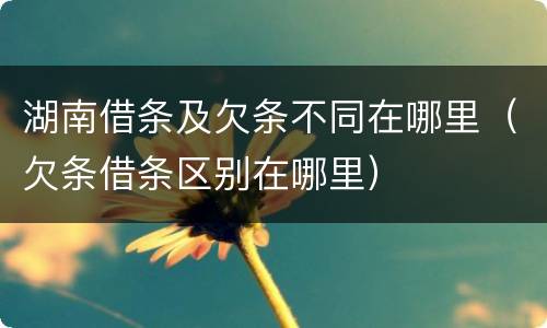 湖南借条及欠条不同在哪里（欠条借条区别在哪里）