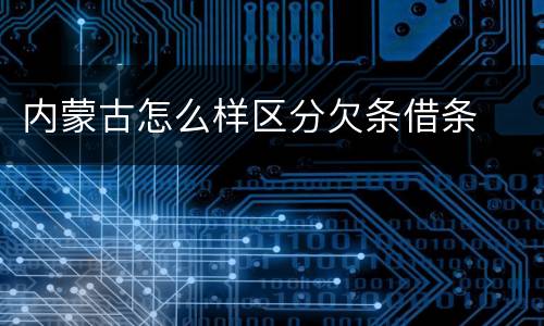 内蒙古怎么样区分欠条借条