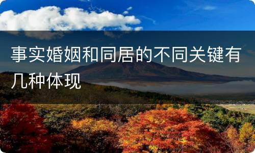 事实婚姻和同居的不同关键有几种体现
