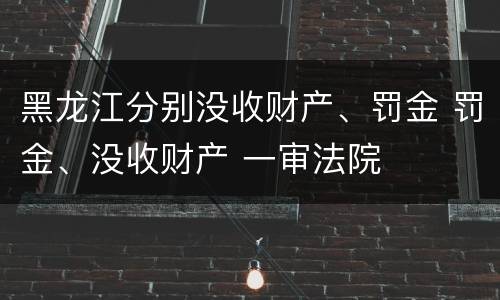 黑龙江分别没收财产、罚金 罚金、没收财产 一审法院
