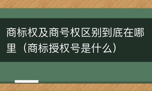商标权及商号权区别到底在哪里（商标授权号是什么）