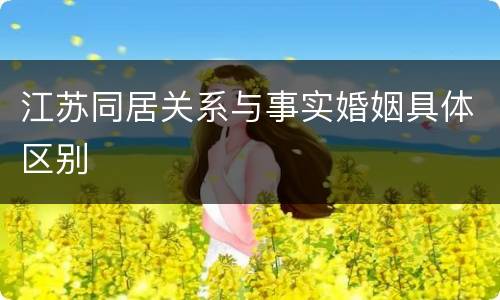 江苏同居关系与事实婚姻具体区别