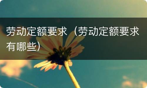 劳动定额要求（劳动定额要求有哪些）