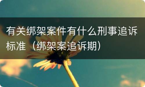 有关绑架案件有什么刑事追诉标准(绑架案追诉期)