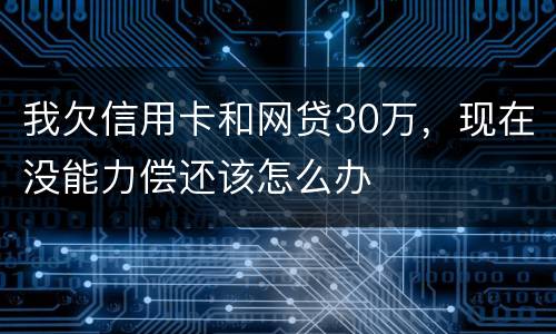 我欠信用卡和网贷30万，现在没能力偿还该怎么办