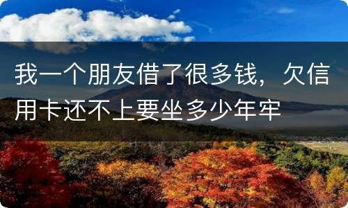 我一个朋友借了很多钱，欠信用卡还不上要坐多少年牢