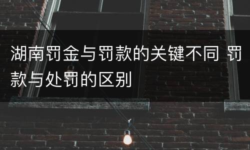 湖南罚金与罚款的关键不同 罚款与处罚的区别