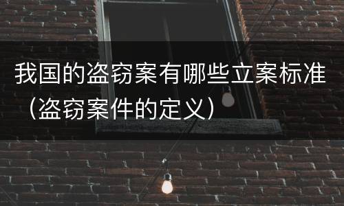 我国的盗窃案有哪些立案标准（盗窃案件的定义）