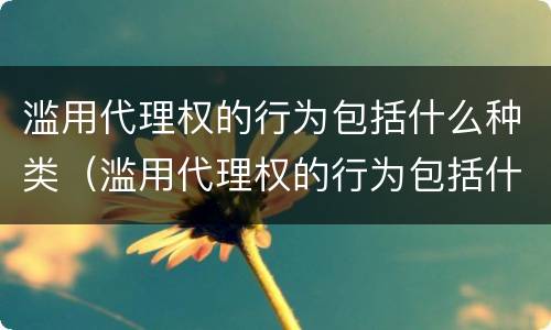滥用代理权的行为包括什么种类（滥用代理权的行为包括什么种类案件）