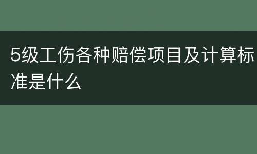 5级工伤各种赔偿项目及计算标准是什么