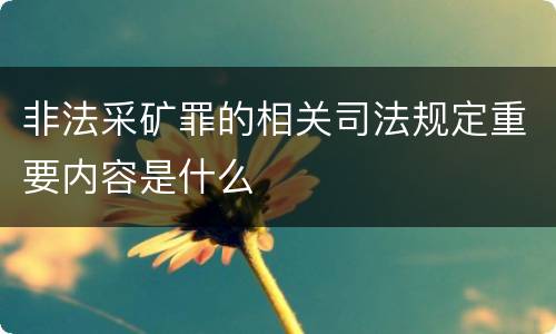 非法采矿罪的相关司法规定重要内容是什么