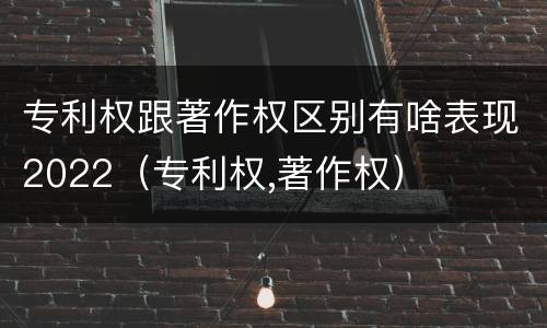 专利权跟著作权区别有啥表现2022（专利权,著作权）