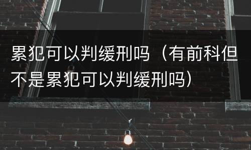 累犯可以判缓刑吗（有前科但不是累犯可以判缓刑吗）