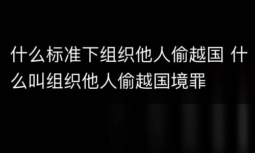 什么标准下组织他人偷越国 什么叫组织他人偷越国境罪