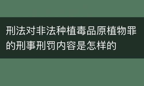刑法对非法种植毒品原植物罪的刑事刑罚内容是怎样的