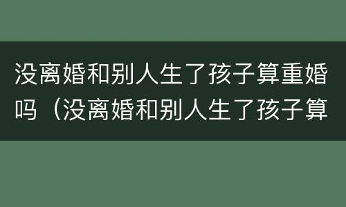没离婚和别人生了孩子算重婚吗（没离婚和别人生了孩子算不算重婚）