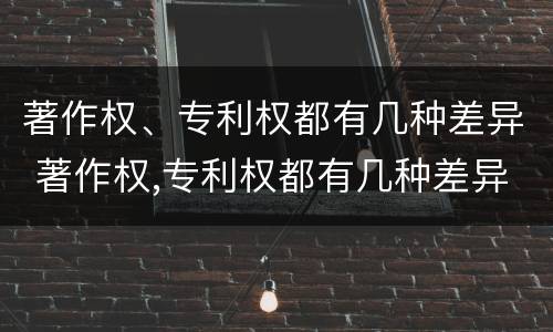 著作权、专利权都有几种差异 著作权,专利权都有几种差异类型