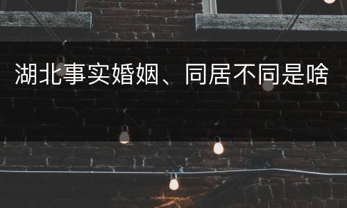 湖北事实婚姻、同居不同是啥