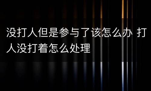 没打人但是参与了该怎么办 打人没打着怎么处理