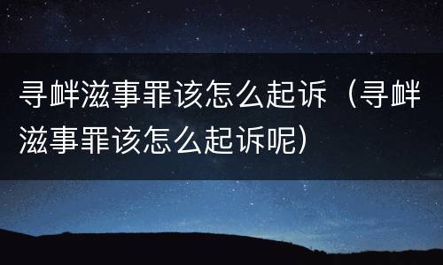 寻衅滋事罪该怎么起诉（寻衅滋事罪该怎么起诉呢）