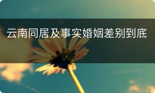 云南同居及事实婚姻差别到底