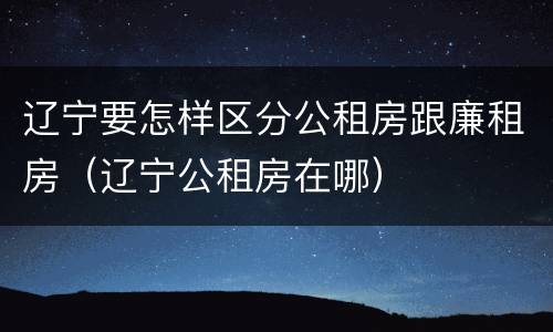 辽宁要怎样区分公租房跟廉租房（辽宁公租房在哪）