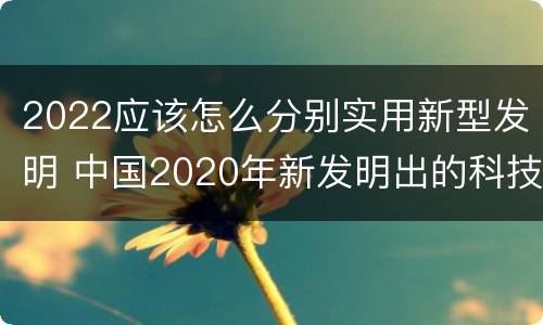 2022应该怎么分别实用新型发明 中国2020年新发明出的科技