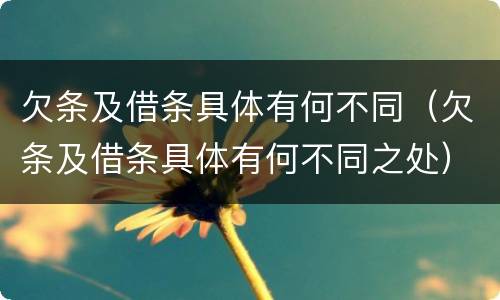 欠条及借条具体有何不同（欠条及借条具体有何不同之处）