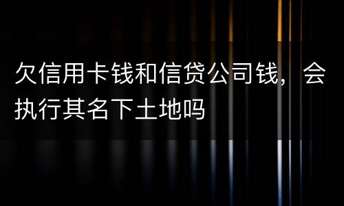 欠信用卡钱和信贷公司钱，会执行其名下土地吗
