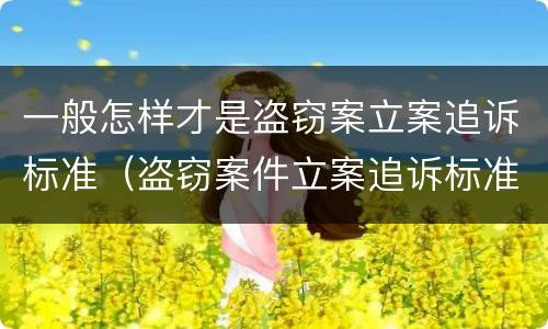 一般怎样才是盗窃案立案追诉标准（盗窃案件立案追诉标准）