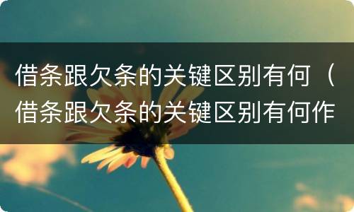 借条跟欠条的关键区别有何（借条跟欠条的关键区别有何作用）