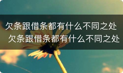 欠条跟借条都有什么不同之处 欠条跟借条都有什么不同之处图片