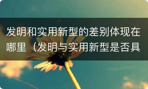 发明和实用新型的差别体现在哪里（发明与实用新型是否具有实用性）