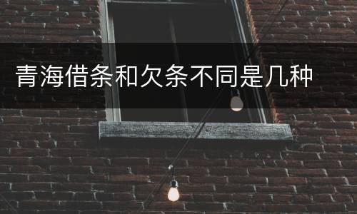 青海借条和欠条不同是几种