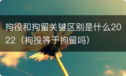 拘役和拘留关键区别是什么2022（拘役等于拘留吗）