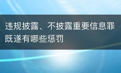 违规披露、不披露重要信息罪既遂有哪些惩罚