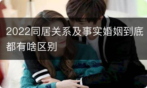 2022同居关系及事实婚姻到底都有啥区别