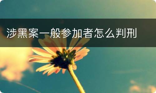 涉黑案一般参加者怎么判刑