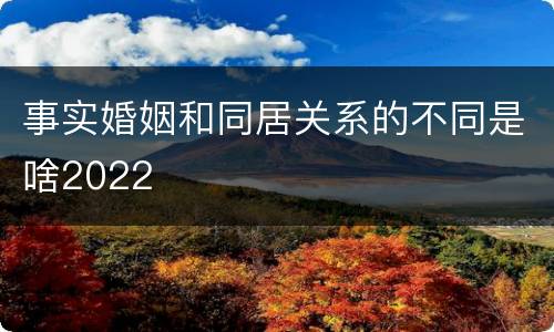 事实婚姻和同居关系的不同是啥2022