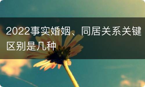 2022事实婚姻、同居关系关键区别是几种