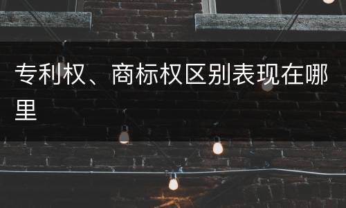 专利权、商标权区别表现在哪里