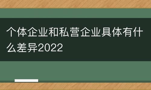 个体企业和私营企业具体有什么差异2022